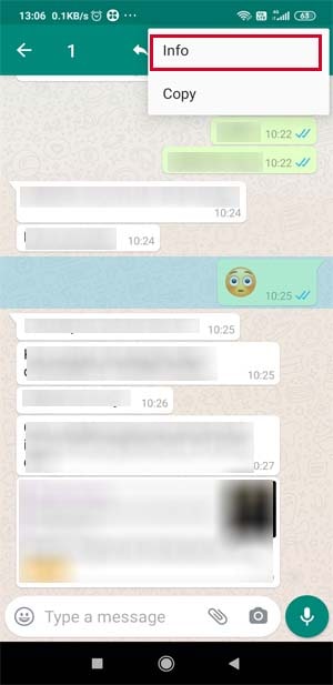 how to see message read time in whatsapp in hindi