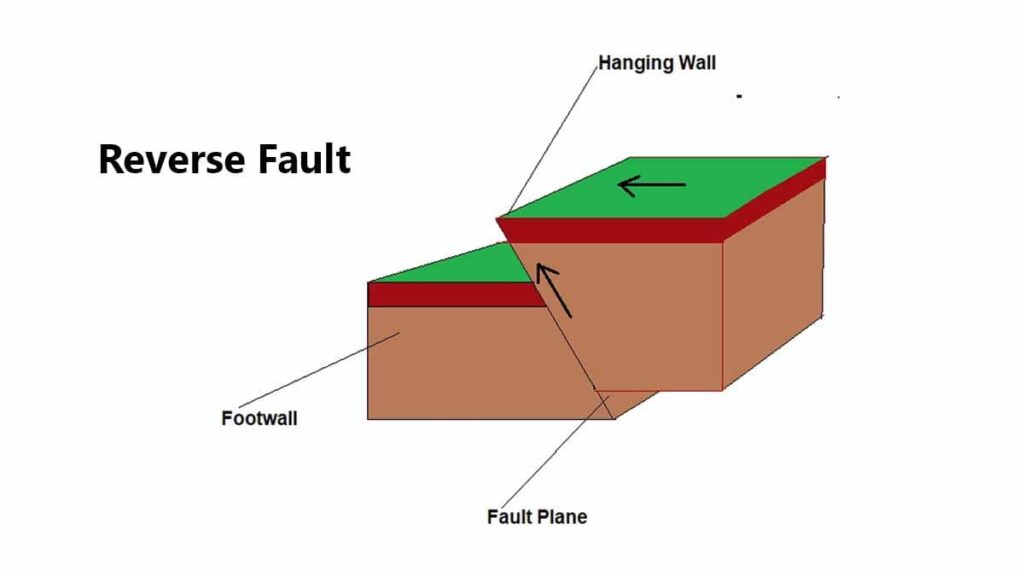 earthquake reverse fault