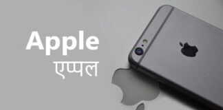 apple company in hindi