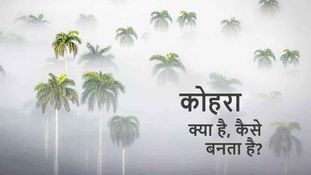 kohra-fog-hindi