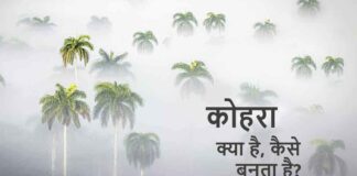 kohra-fog-hindi
