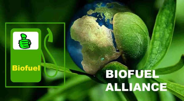 biofuel alliance kya hai